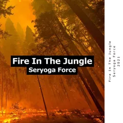 Seryoga Force - Fire In The Jungle  (Original Mix)