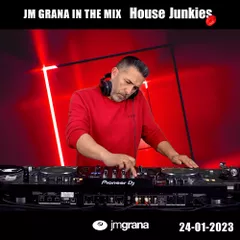 In The Mix House Junkies