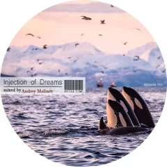 Injection of Dreams #143