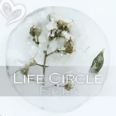 Life Circle