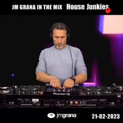 In The Mix House Junkies