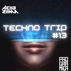 Techno Trip #13