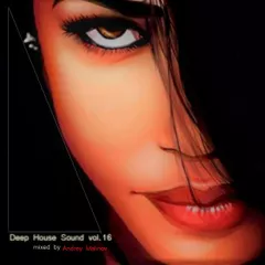 Deep House Sound vol.16