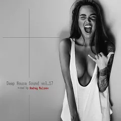 Deep House Sound vol.17