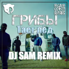 Грибы - Тает Лёд  (DJ SAM Remix)