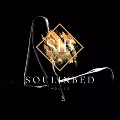 SouLInBeD Series Vol 12