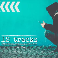 12 Tracks Vol.021