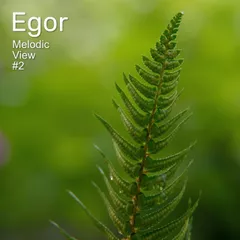 Egor – Melodic View #2