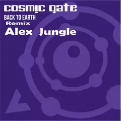 Cosmic Gate - Back to Earth (Alex Jungle Remix)