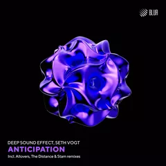 Deep Sound Effect & Seth Vogt - Anticipation