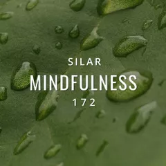 Mindfulness Episode 172