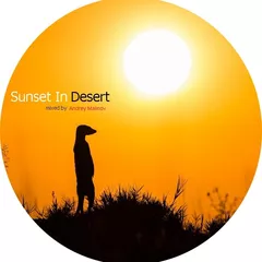 Sunset In Desert