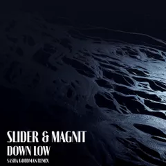 Slider & Magnit - Down Low (Sasha Goodman Remix)