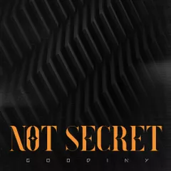 Goodiny - Not Secret