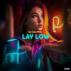 DJ Calypso - Lay Low