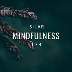 Mindfulness Episode 174