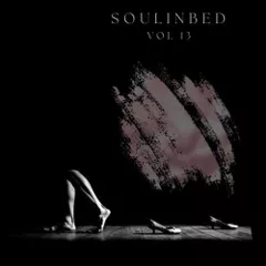 SouLInBeD Series Vol 13
