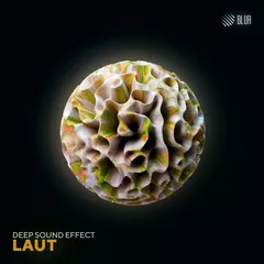 Laut