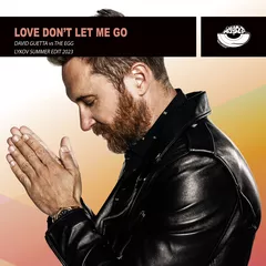 David Guetta vs The Egg  - Love Don't Let Me Go (Lykov Summer Edit 2023) [MOUSE-P]