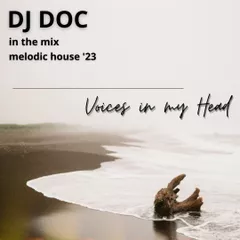 Voices In My Head