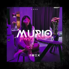 1Mix