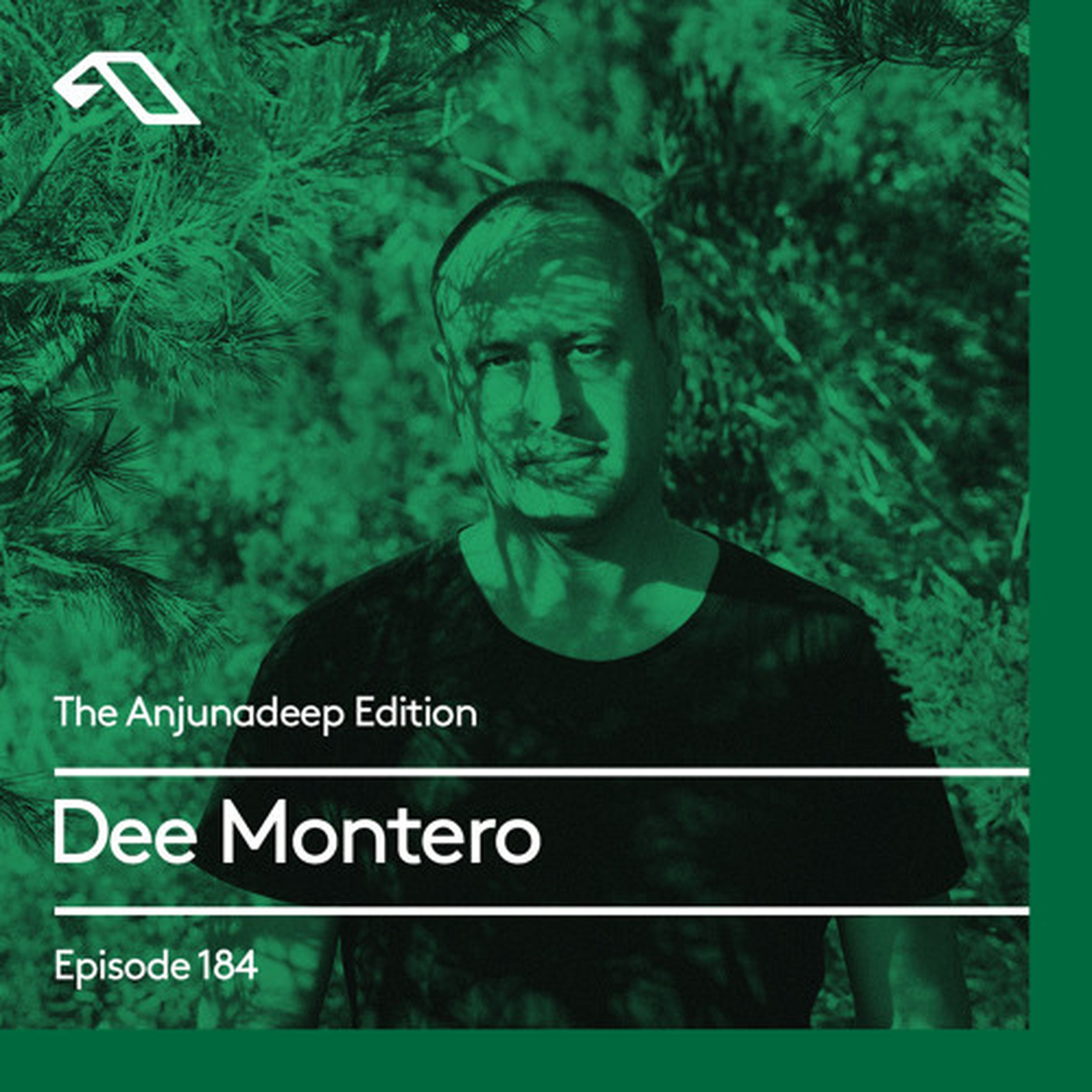 Dee montero's futurescope stream - burning man multiverse 2020. ирландские диджеи. Montero песня. Dee montero. Dee montero echoes.