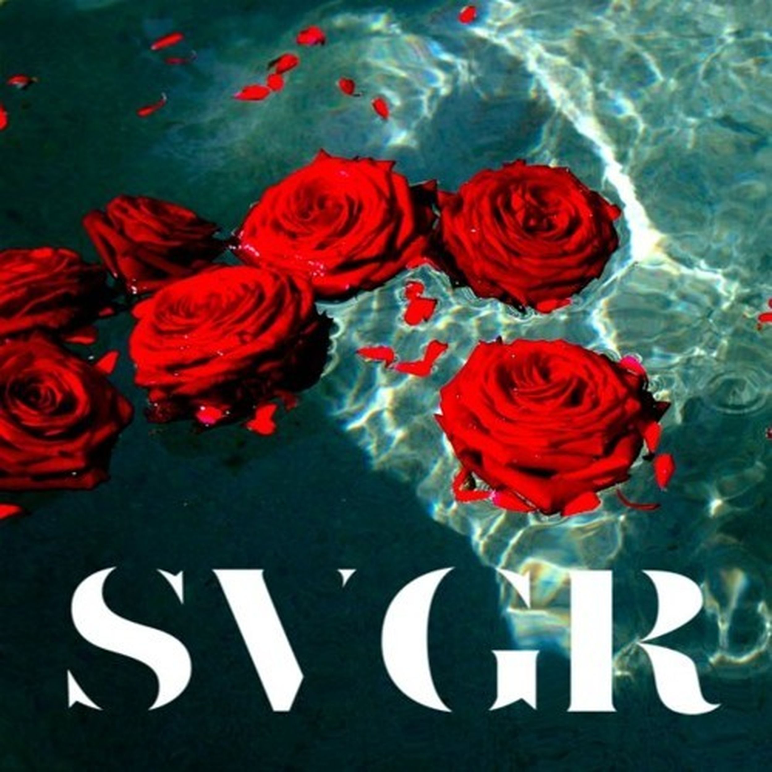 Svgr