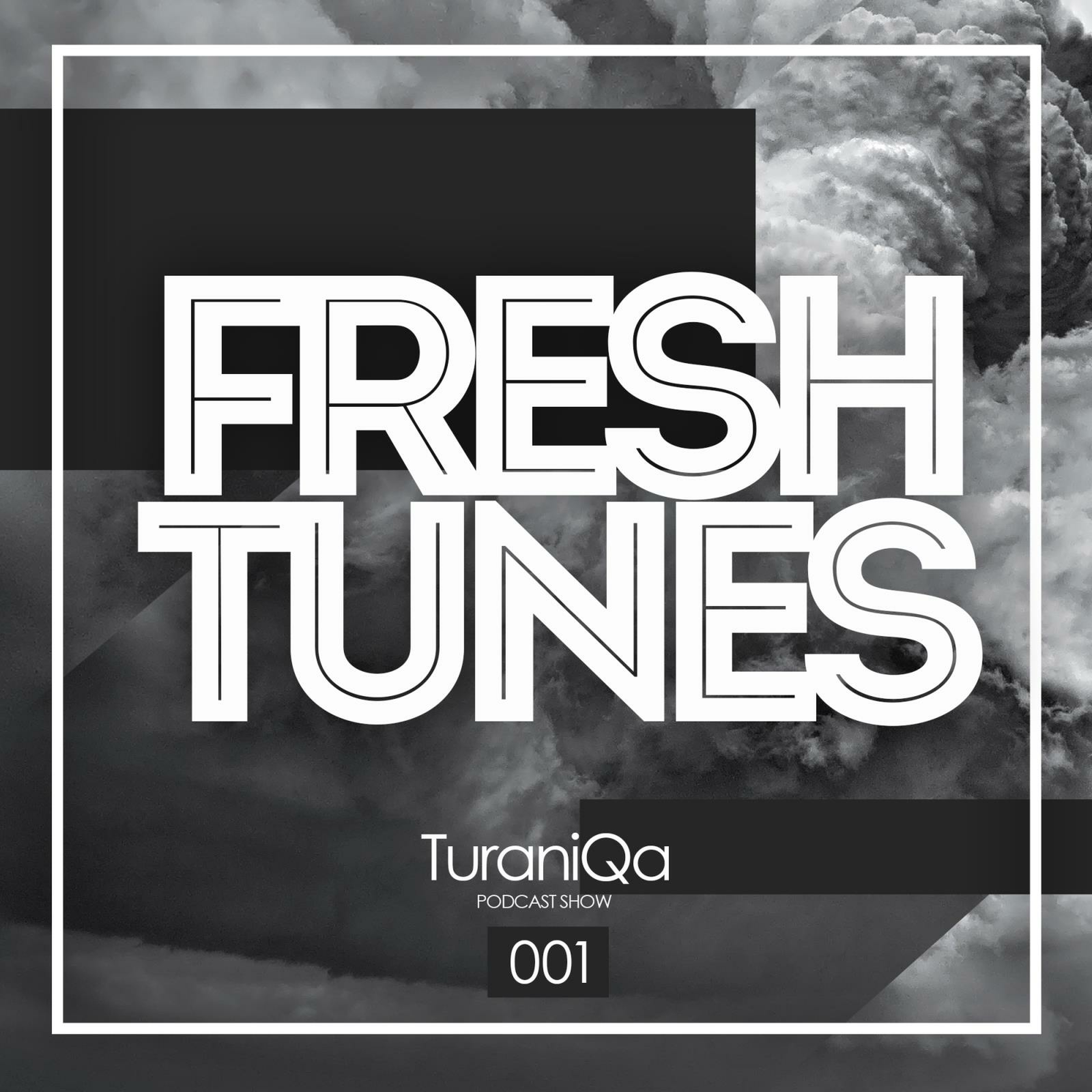 Fresh tunes. Turaniqa. Фреш Тюнс. Fresh Tunes отзывы. Fresh Tunes UPC.