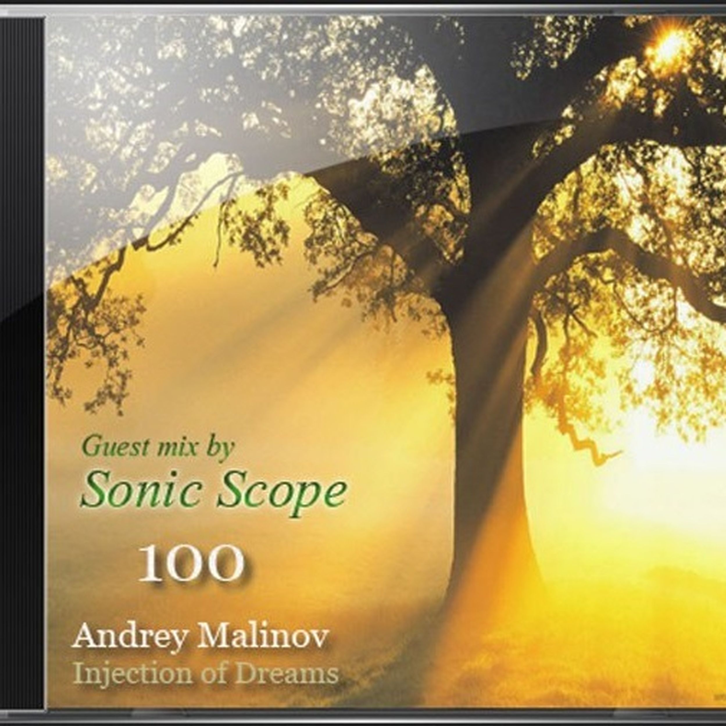 100 guest. Sonic scope - River Mist. Sonic scope - Lilac Garden. Andrey Malinov - Injection of Dreams # 84.