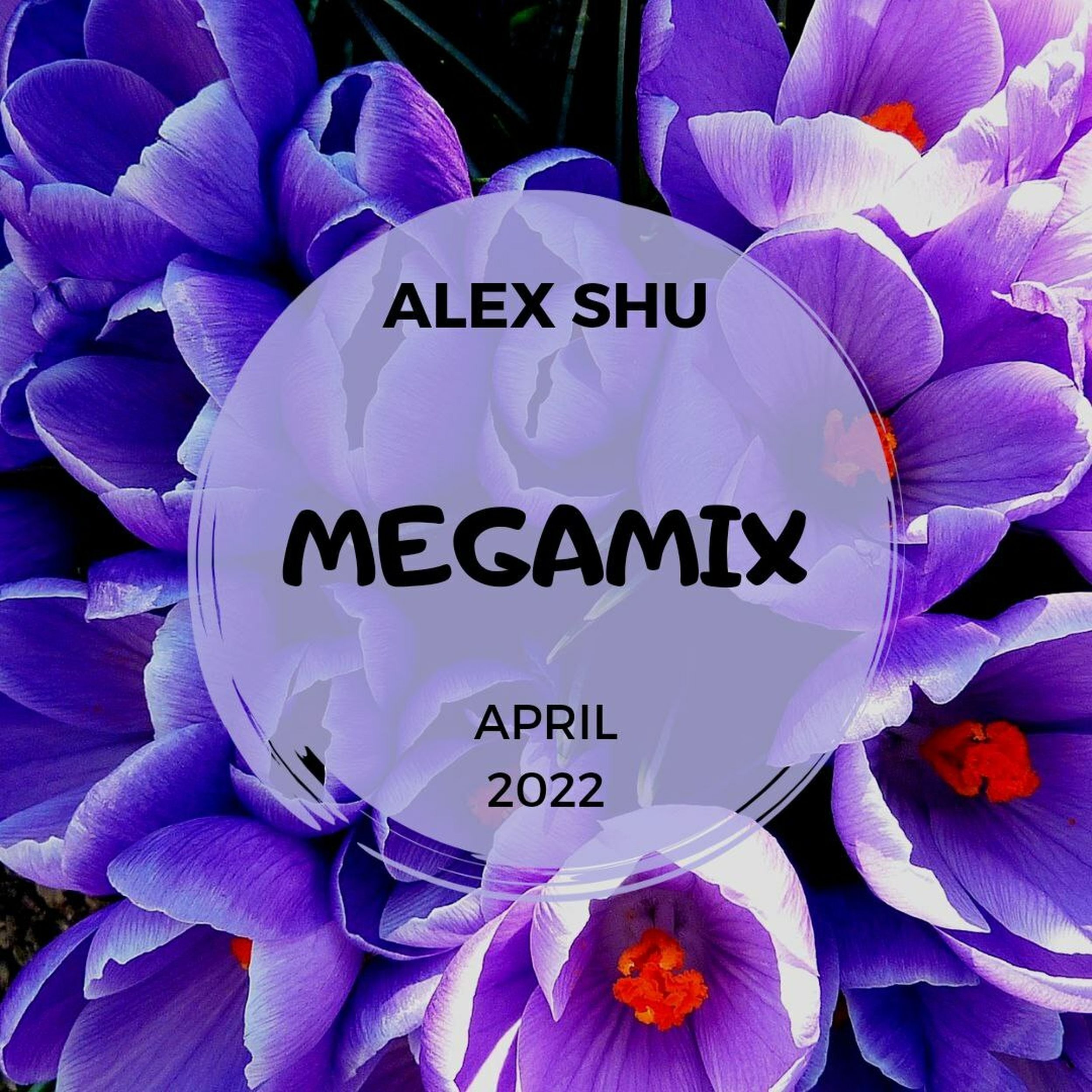 Алекс шу полностью. Megamix 2022. Record Megamix 2022. Алекс Шу. Май 2022 - Megamix название песен.