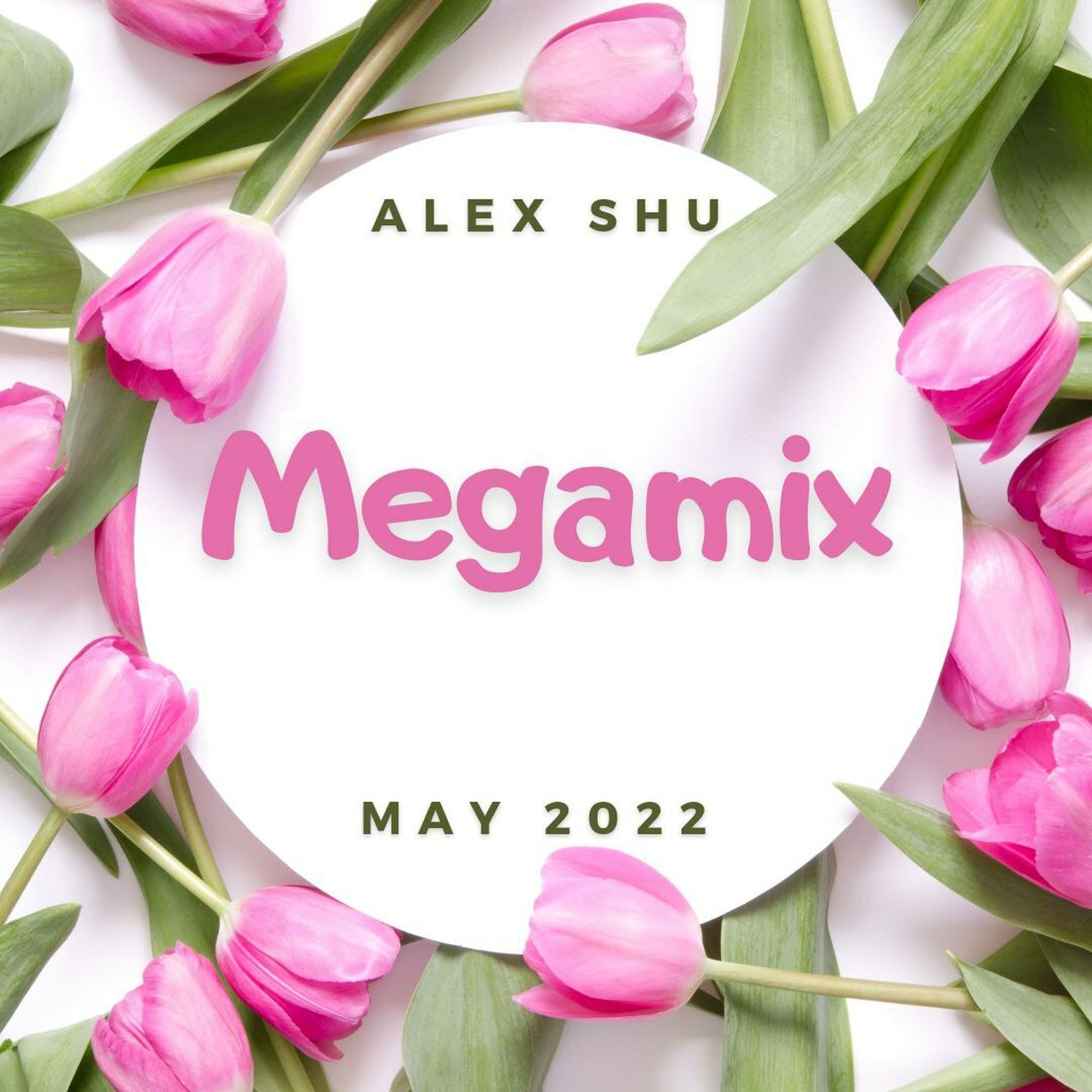 Alex shu remix. Megamix 2022. Airsand & turaniqa - Miracle.