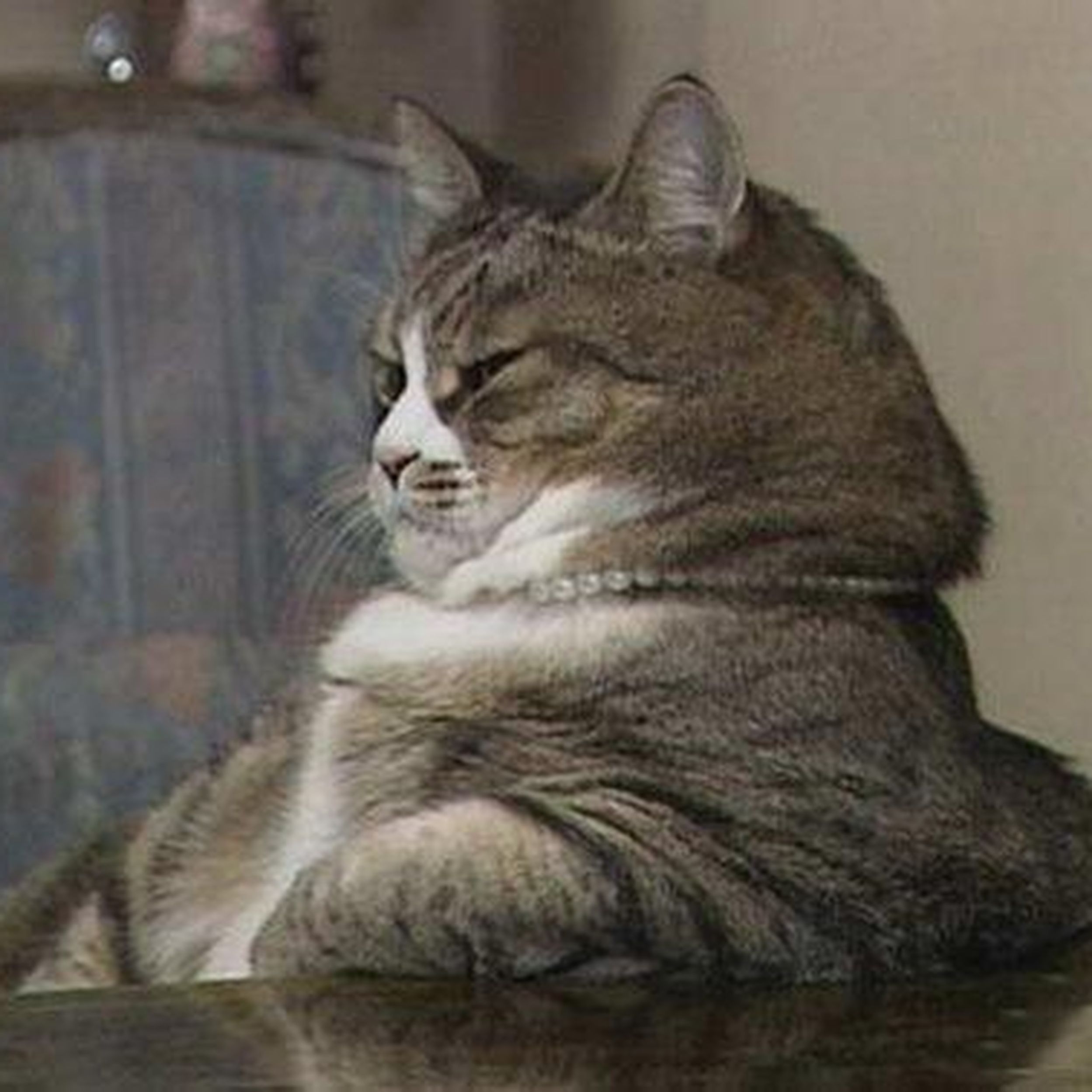 Вальяжность. Вальяжный вид. Вальяжность. Человек сидит в кресле. Вальяжный.