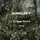 Jungles 7 (Spring)