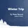 Winter Trip (House & Tech)