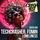 Techcrasher, Fomin - Loneliness