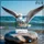 Pleasure 478