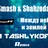 TashlykoFF ft. Smash & Shahzoda - Между небом и землей (TashlykoFF Remix)