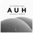 Autoerotique - AUH (4Handz Remix)