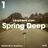 Spring Deep (Monthly Mix March '17)