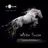 Shevtsov & DJ Krasavin - White Horse (Original Mix)