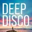 Deep Disco Records Mix vol.51