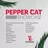 Pepper Cat Podcast