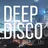 Deep Disco Vibes #16