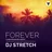 DJ Stretch - Forever 