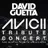 Avicii Tribute Concert