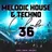 Club 36 (Melodic House & Techno)