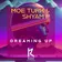 Moe Turk & Shyam P - Dreaming Up