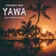 Fireboy DML - YAWA (Max Hurrell Remix)