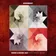 Gotye - Somebody (Shebi & Soheil Ray Afro House Remix)
