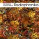 Heyspace & HungryBeat - Radiophonika #144 Track 1